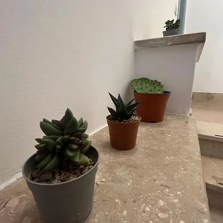 Il Di Wanda Ferienhaus *
